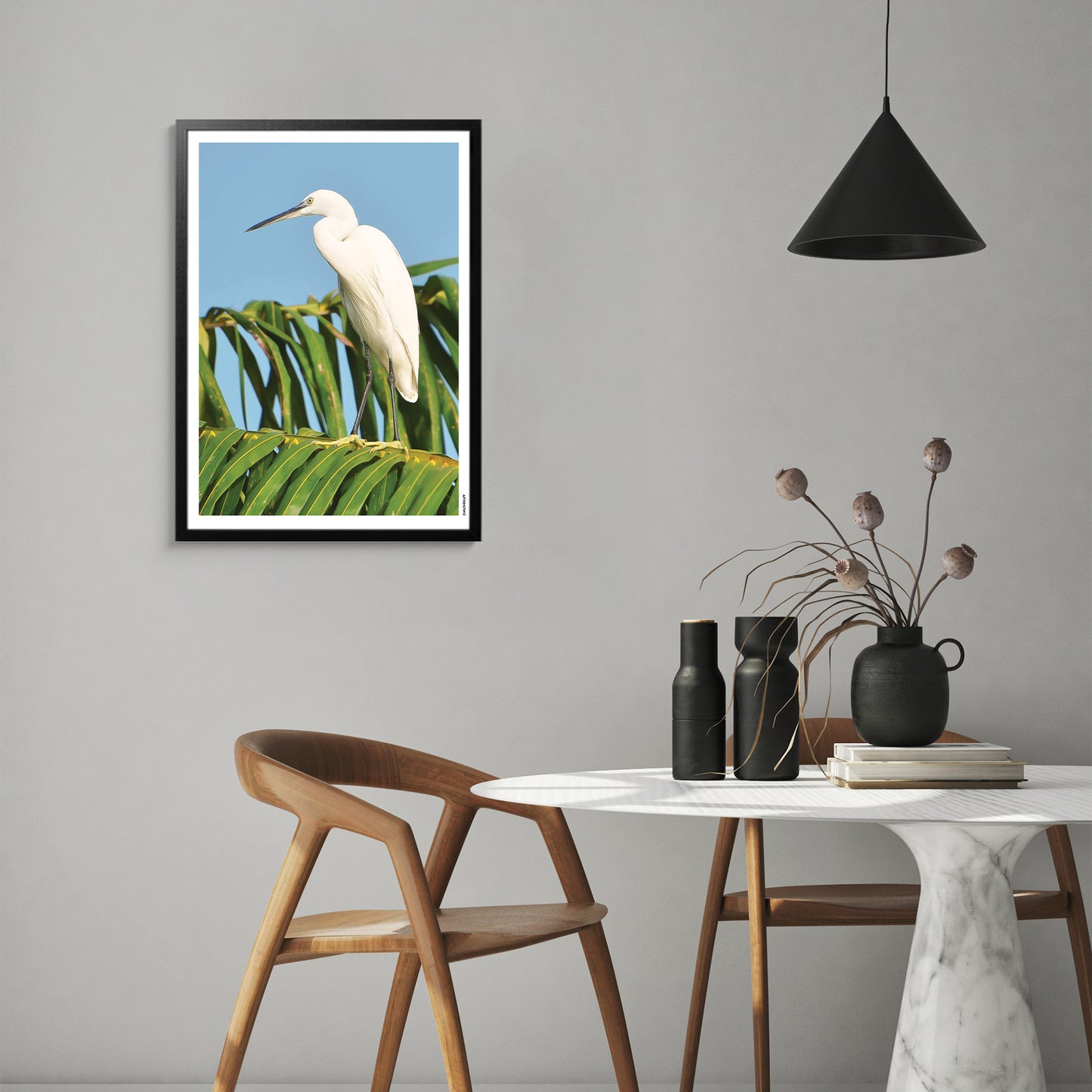 Aigrette Garzette