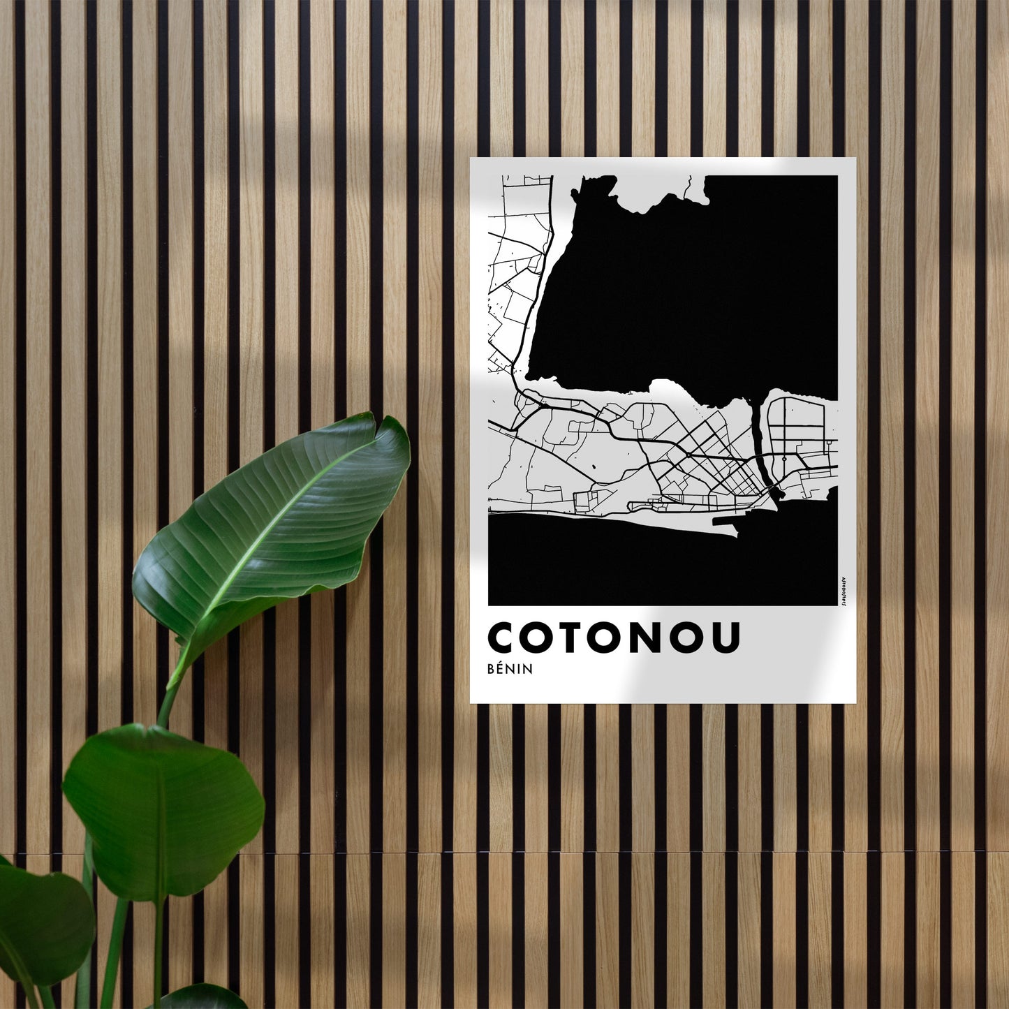 Cotonou Monochrome