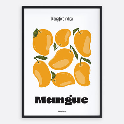Mangue